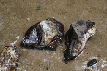 Rocks in the stream.