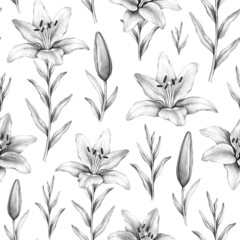 Seamless pattern with pencil drawings of lily flowers