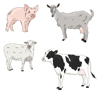 vector farm animals set