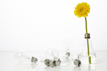 197 Transparent Bulb Limpidity Wall Murals Canvas Prints Stickers Wallsheaven