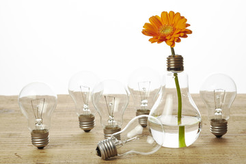 197 Transparent Bulb Limpidity Wall Murals Canvas Prints Stickers Wallsheaven