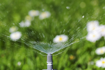 Bewässerung im Garten