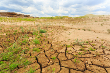 surface crack of  soil in arid area