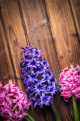 Beautiful spring flowers on wooden background