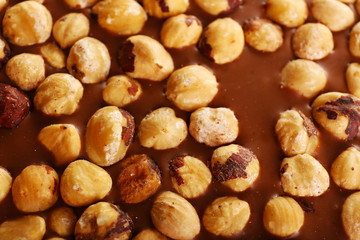 Milk chocolate bar with hazelnuts close up