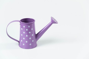 little purple watering can isolated on white background