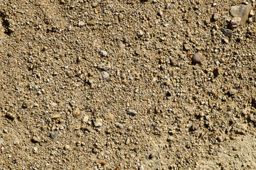 close-up of a sandstone soil