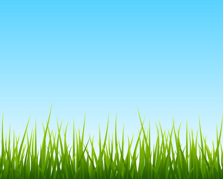 little green grass, blue sky seamless background