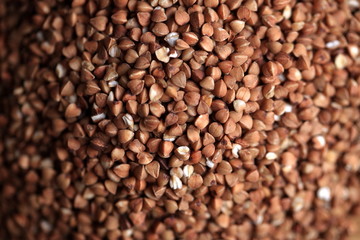 Grains of buckwheat