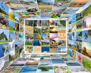 Fototapety na wymiar - Fototapeta24.pl