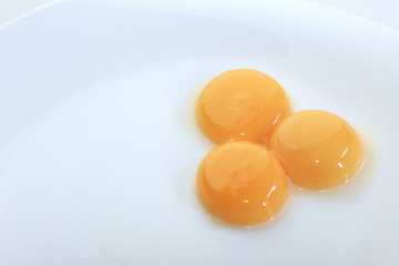 egg yolks