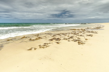 Fototapeta premium Fuerteventura, Wyspy Kanaryjskie , Hiszpania