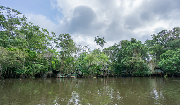 Amazon forest and wooden houses built for anaconda film