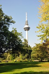Luisenpark mit Fernmeldeturm