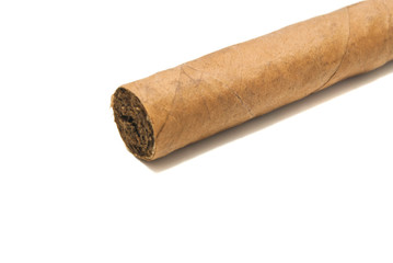 single cigar on white