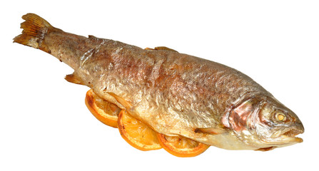Baked Rainbow Trout