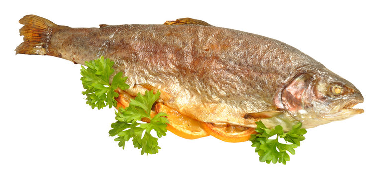 Baked Rainbow Trout