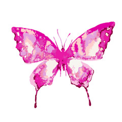 butterflies design
