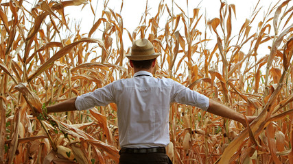 Farmer in a corn field © tostphoto