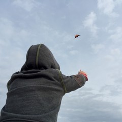 Drachenflug