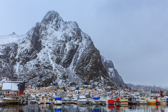 World championship in arctic cod fishing.