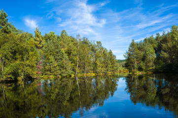 Schwenninger Moos, Villingen-Schwenningen