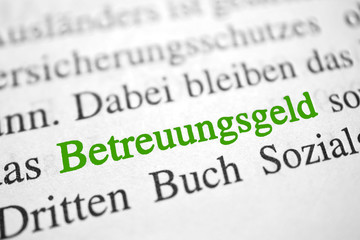 Obraz premium Betreuungsgeld - grüne Buchstaben