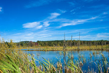Schwenninger Moos, Villingen-Schwenningen