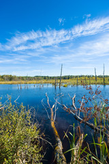 Schwenninger Moos, Villingen-Schwenningen