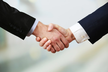 Business handshake on bright background