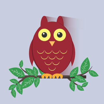 Red Owl Sitting on a Branch