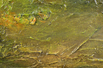 Abstract oil painted texture on canvas