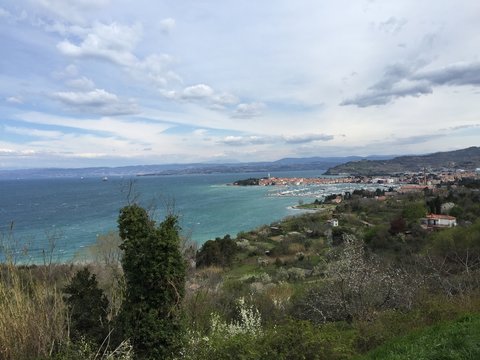 muggia