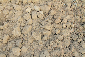soil