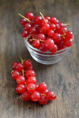 fresh ripe currant