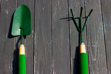 Gardening tools on old wooden background