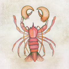 handpainted lobster on aqua color background