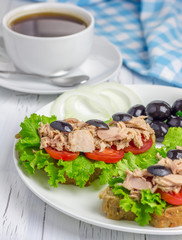 Tuna fish sandwiches on the white plate
