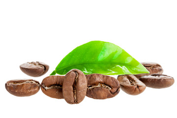 coffee beans isolated in white background