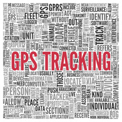 GPS TRACKING Concept Word Tag Cloud Design