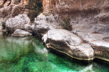 Naklejka na ściany i meble Boulders in Green Water of Wadi Bani Khalid