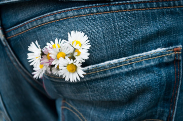 pâquerette dans la poche arrière d'un jean