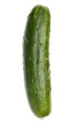 Cucumber