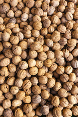 walnuts, market in Forcalquier, Provence, France