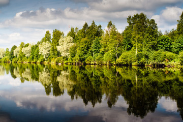 Forest Reflections On The River