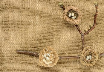 bird nests on burlap background