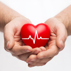 male hands holding heart with ecg line