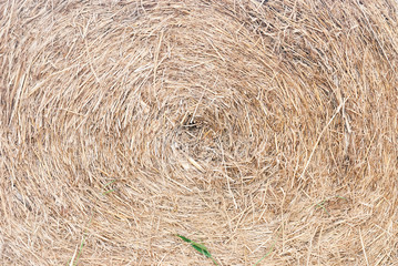 Straw texture background