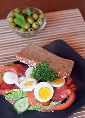 Fresh and tasty sandwich with salami and vegetables on a plate