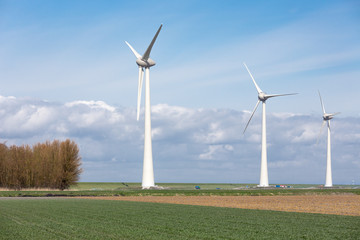 Obraz premium Wind turbines of the biggest windfarm in the Netherlands